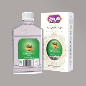 شش گیاه (معده)غلیظ